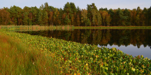 kleinerMoorsee