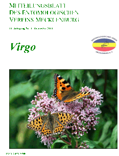 Icon of Virgo 14