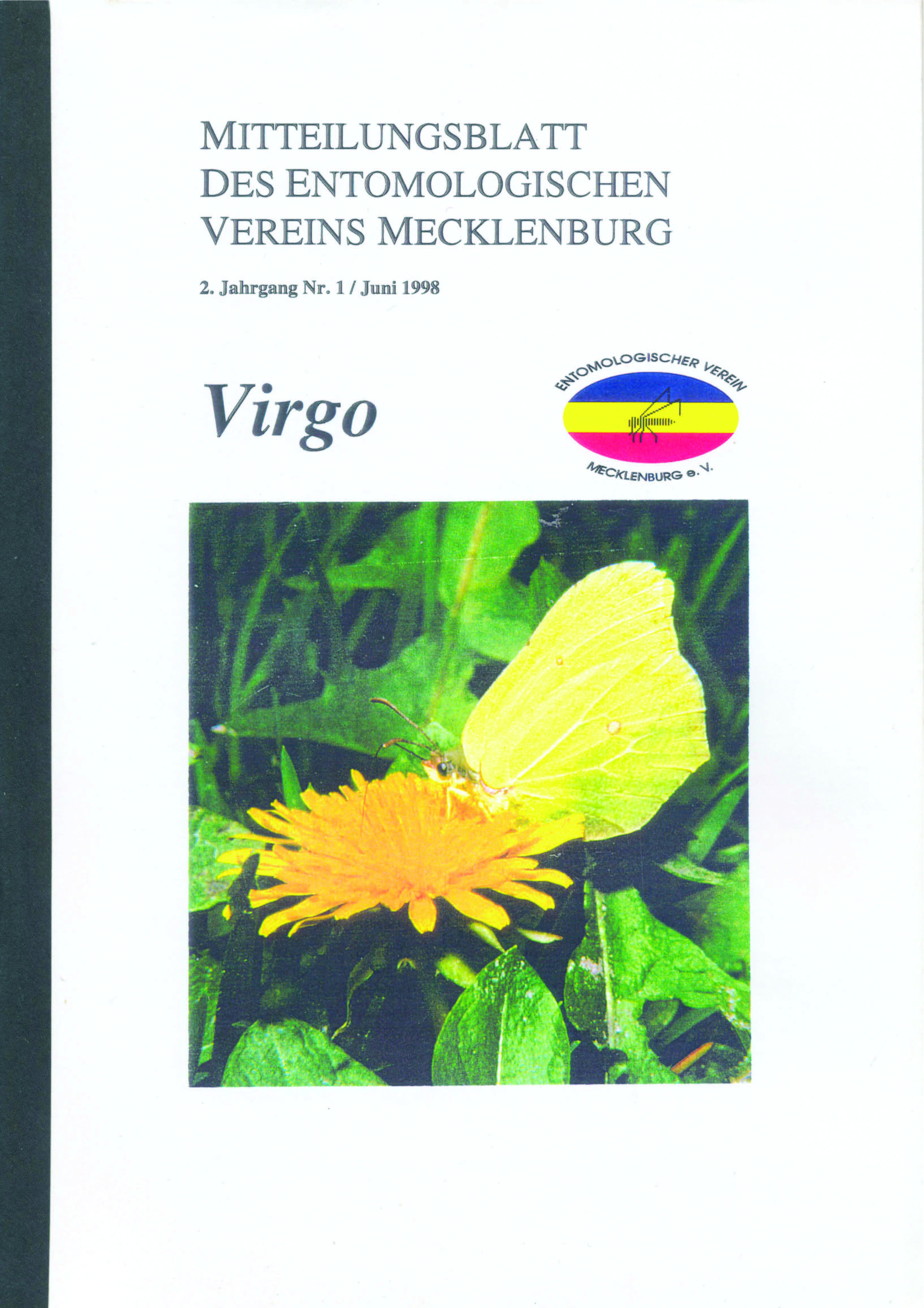 Icon of Virgo 2