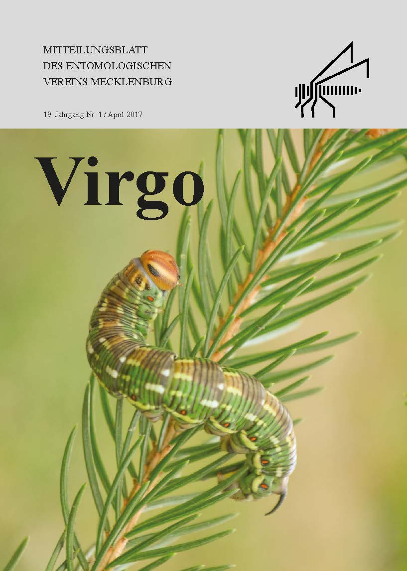 Icon of Virgo 19