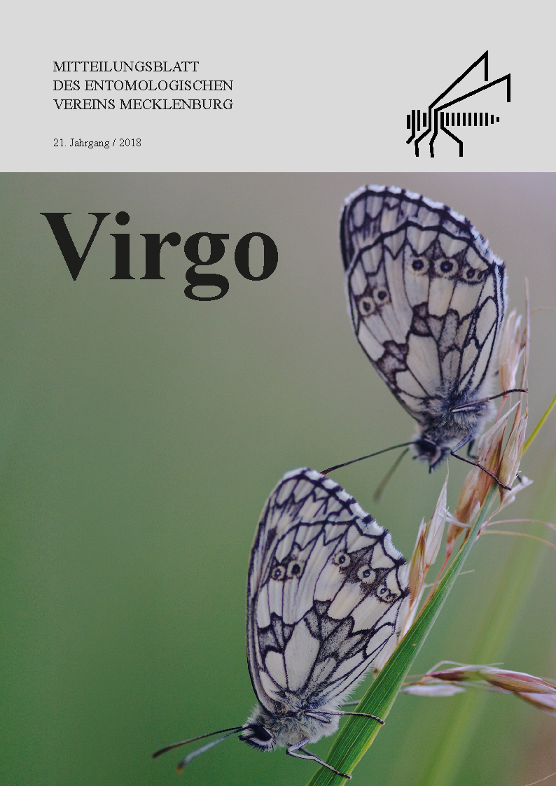 Icon of Virgo 21