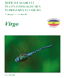 Icon of Virgo 15