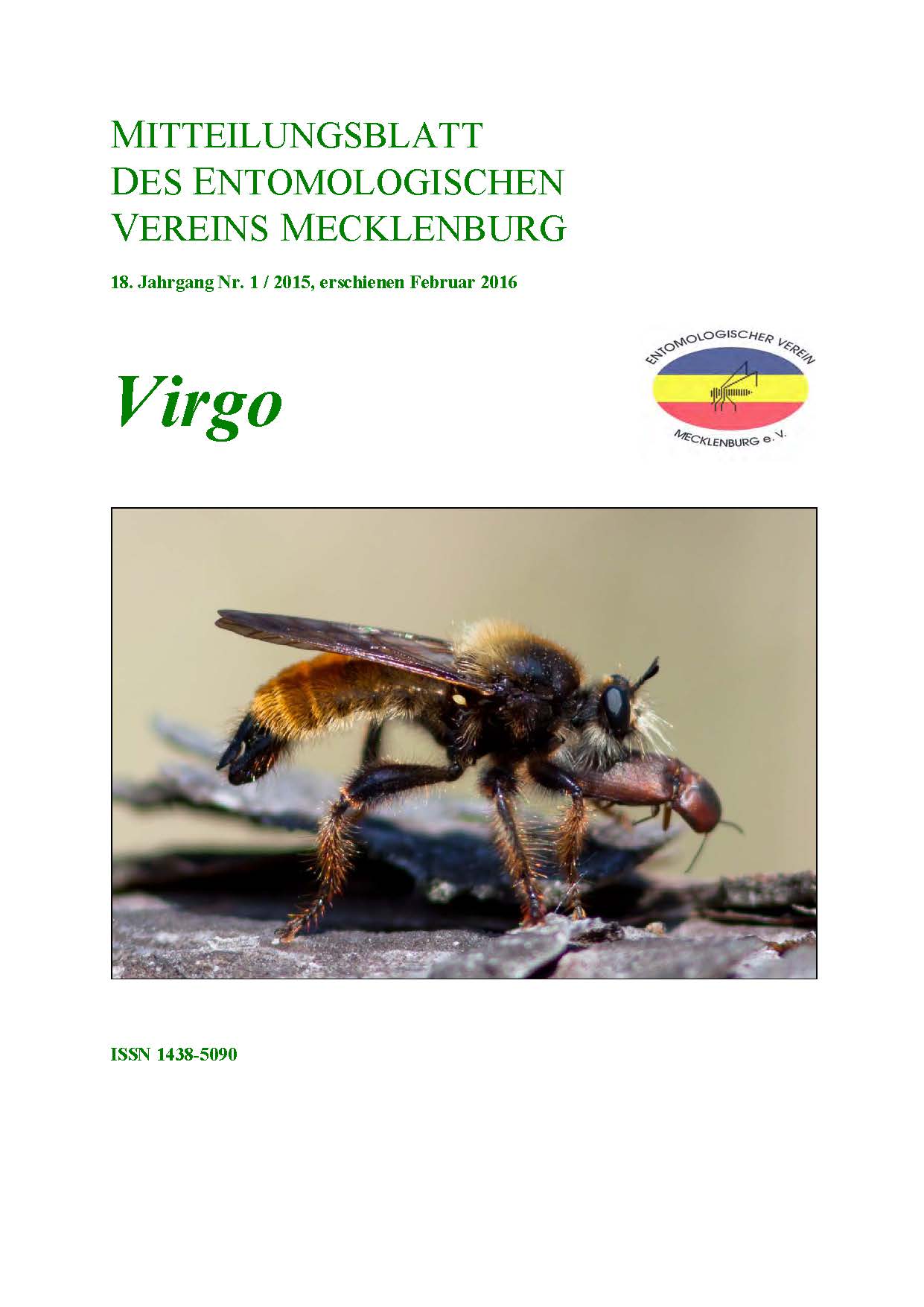 Icon of Virgo 18