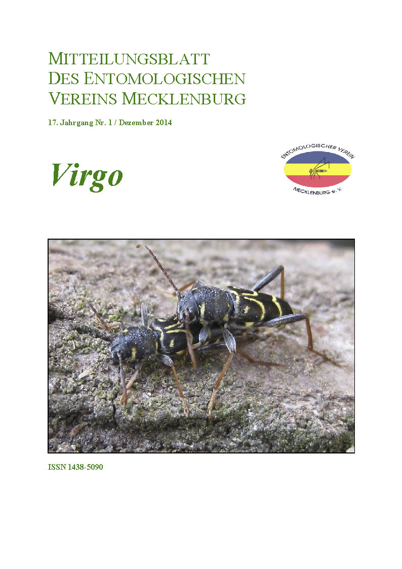 Icon of Virgo 17