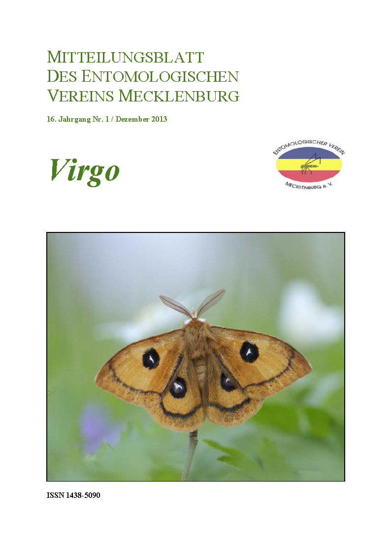 Icon of Virgo 16