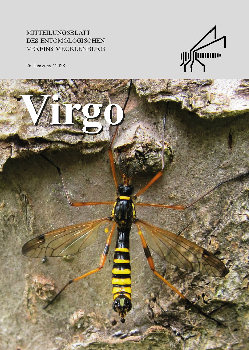Icon of Virgo 26