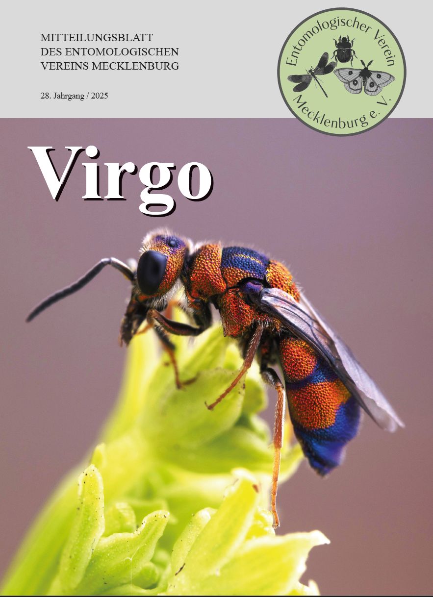 Icon of Virgo 28
