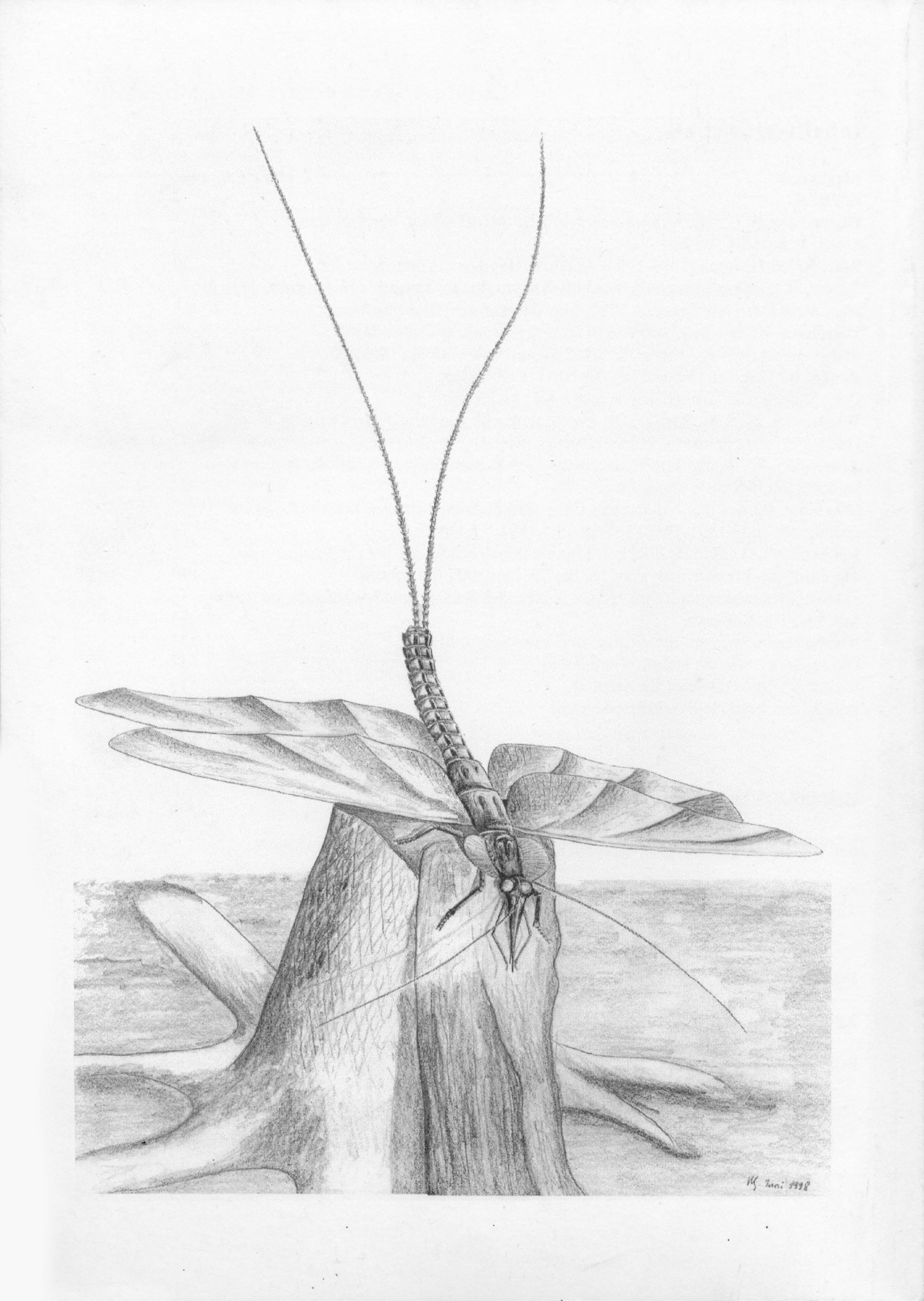 Icon of Virgo 04 2000 Rückseite