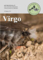 Icon of Virgo 29 Titel Front