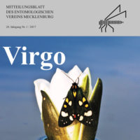 Virgo 20. Jahrgang 2018