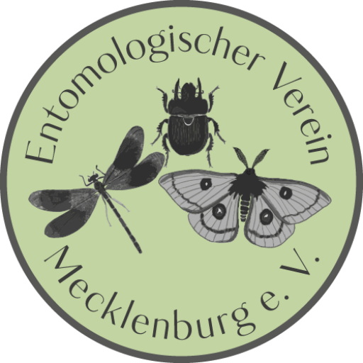 Entomologischer Verein Mecklenburg e.V.